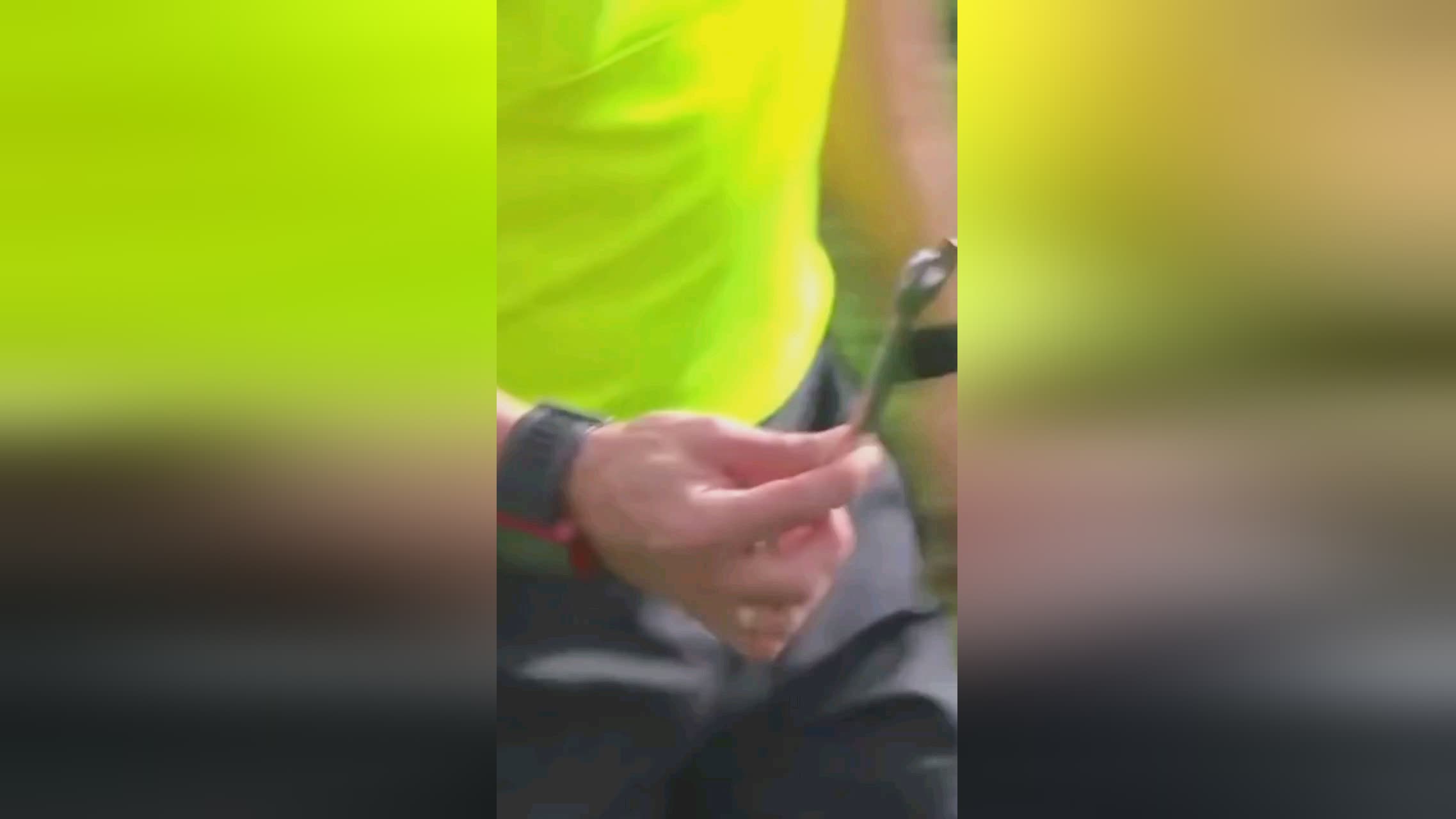 成功从